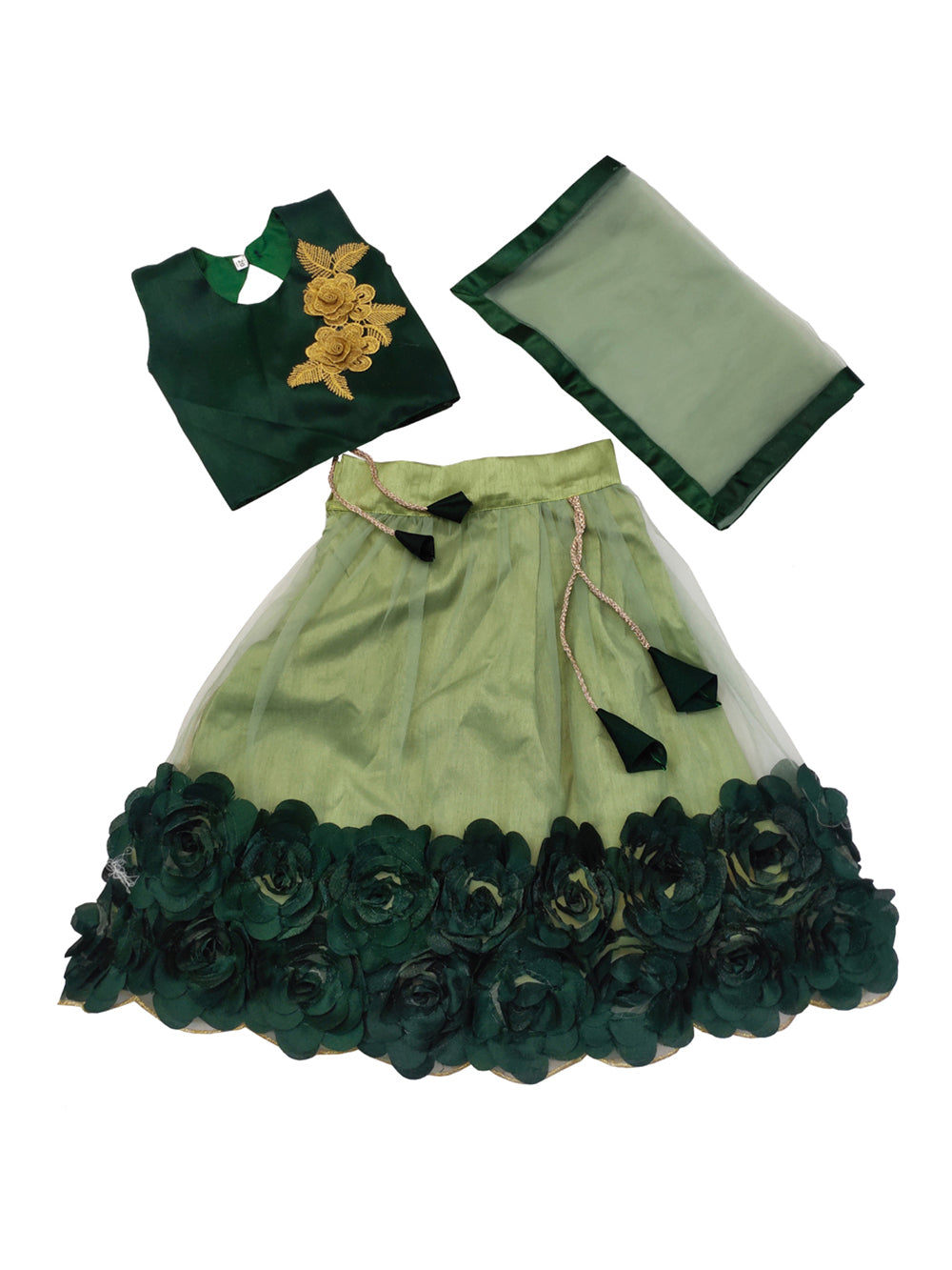 Embriodery Lehenga Choli and Dupatta Set