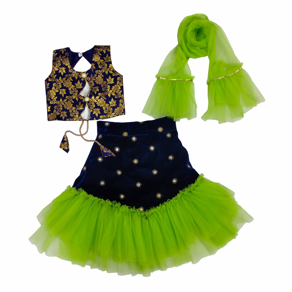 Girls Lehenga Choli Ethnic Wear Set