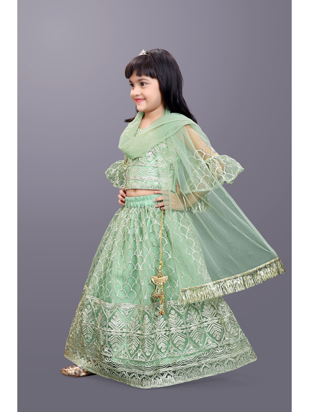 Party Wear Embroidered Lehenga Choli and Dupatta Set