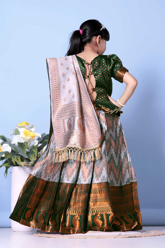 Woman wearing a traditional outfit with a patterned saree and blouse against a light blue background.
