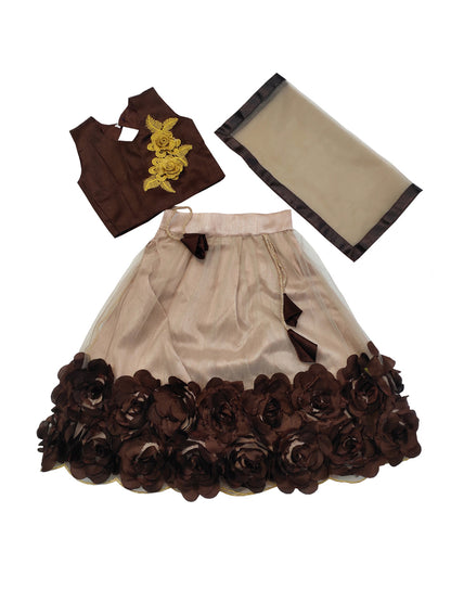 Embriodery Lehenga Choli and Dupatta Set