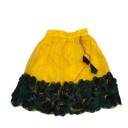 Embriodery Lehenga Choli and Dupatta Set