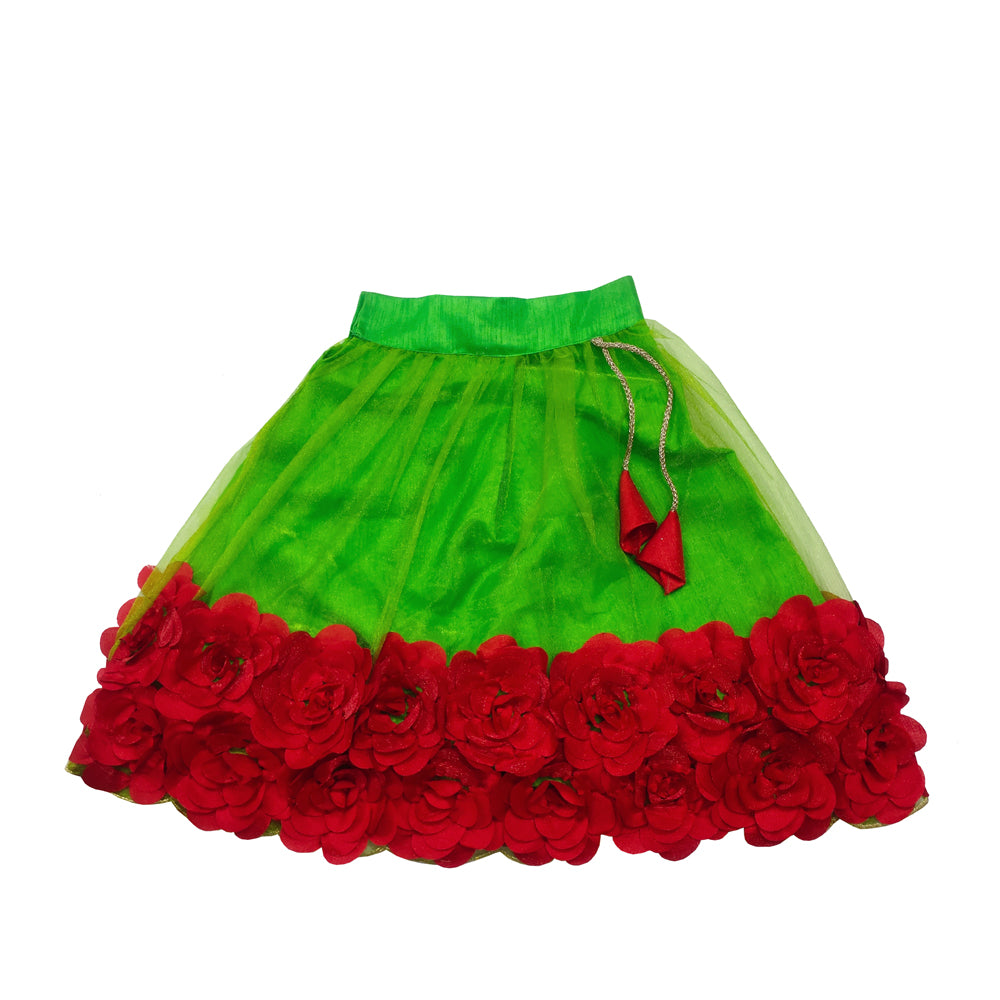 Embriodery Lehenga Choli and Dupatta Set