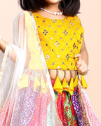 Girls Ethnic Wear Printed Lehenga, Choli and Dupatta Set