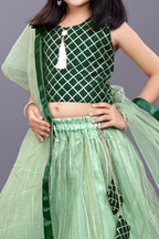 Girls Checkered Lehenga Choli with Dupatta – Festive Ethnic Wear