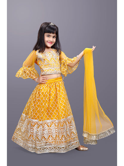 Party Wear Embroidered Lehenga Choli and Dupatta Set