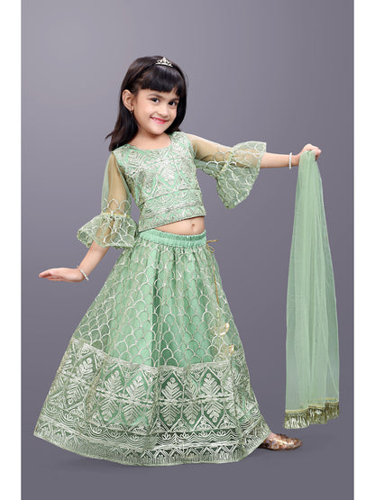 Party Wear Embroidered Lehenga Choli and Dupatta Set