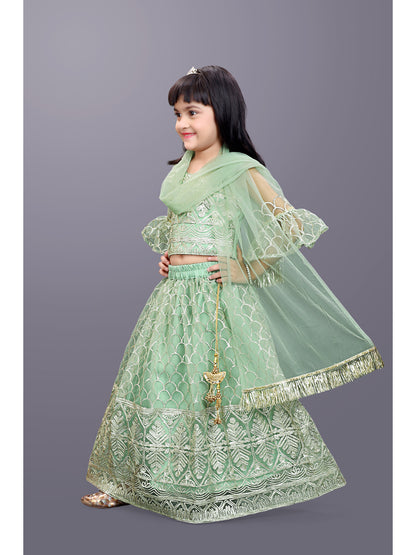 Party Wear Embroidered Lehenga Choli and Dupatta Set
