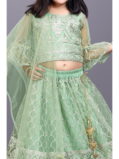 Party Wear Embroidered Lehenga Choli and Dupatta Set