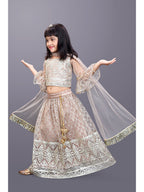 Girls Party Wear Embroidered Lehenga Choli Set with Dupatta | Premium Kids Indian Ethnic Outfit