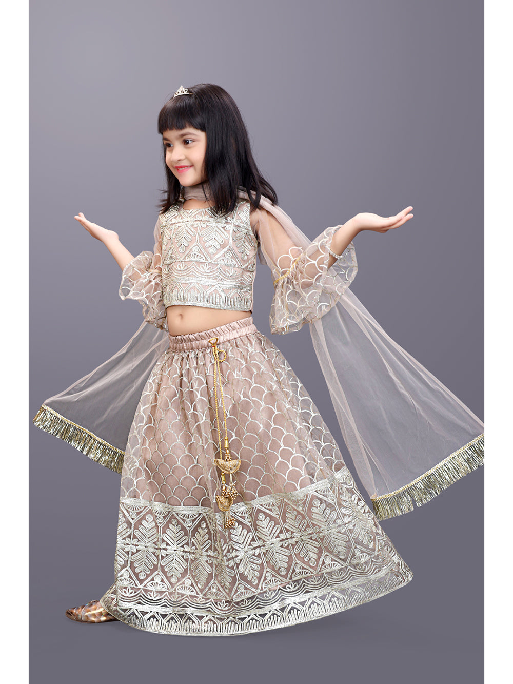 Party Wear Embroidered Lehenga Choli and Dupatta Set