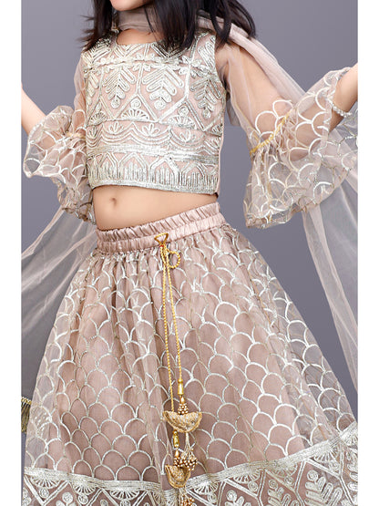 Party Wear Embroidered Lehenga Choli and Dupatta Set
