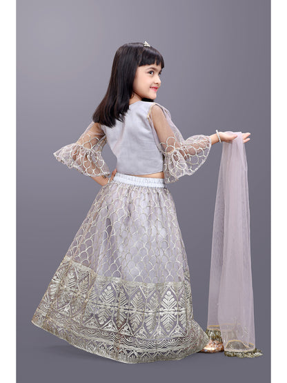 Party Wear Embroidered Lehenga Choli and Dupatta Set