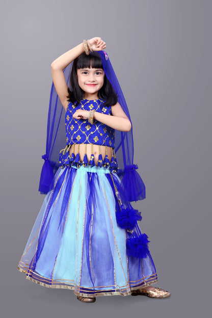 Girls Party Wear Lehenga, Choli and Dupatta Set