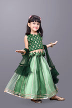 Girls Party Wear Lehenga, Choli and Dupatta Set
