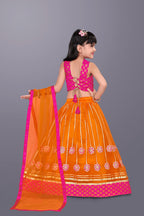 Girls Floral Embroidered Lehenga Choli Set with Dupatta