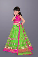 Girls Floral Embroidered Lehenga Choli Set with Dupatta