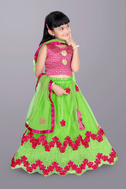 Girls Embroidered Lehenga Choli with Dupatta Set