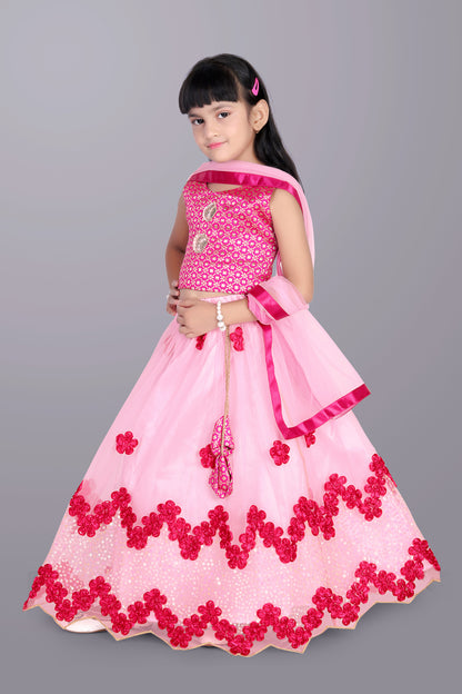 Girls Embroidered Lehenga Choli with Dupatta Set