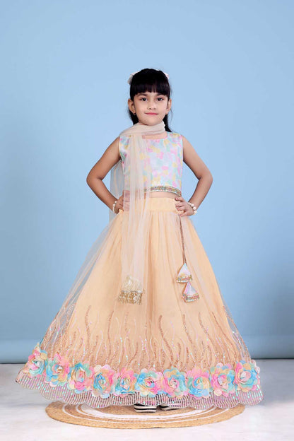 Baby Girls Embriodery Work Lehenga Set