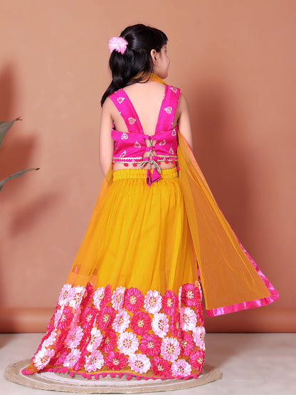 Embriodery Lehenga Choli and Dupatta Set for Girls