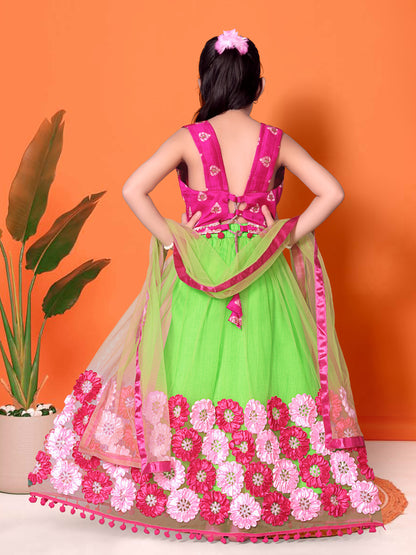 Embriodery Lehenga Choli and Dupatta Set for Girls