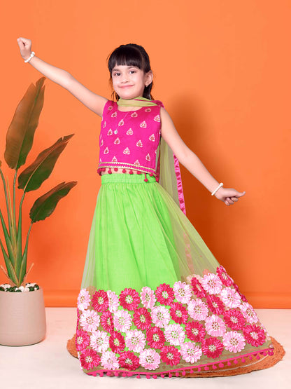 Embriodery Lehenga Choli and Dupatta Set for Girls
