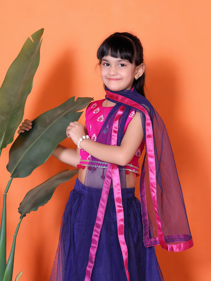 Embriodery Lehenga Choli and Dupatta Set for Girls