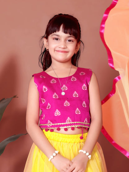 Embriodery Lehenga Choli and Dupatta Set for Girls