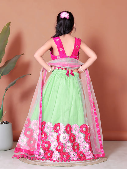 Embriodery Lehenga Choli and Dupatta Set for Girls