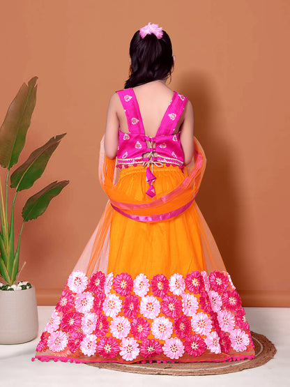 Embriodery Lehenga Choli and Dupatta Set for Girls