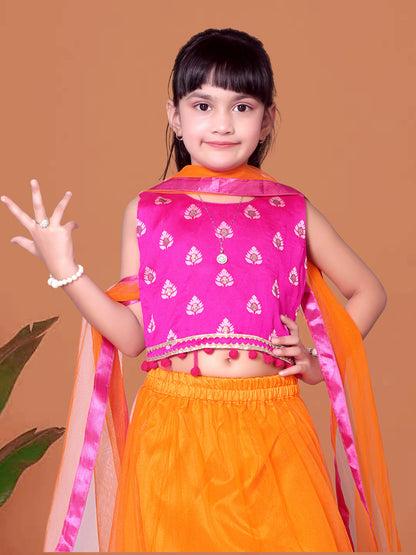 Embriodery Lehenga Choli and Dupatta Set for Girls