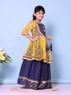 Baby Girls Lehenga Choli Ethnic Wear Embellished Lehenga Choli