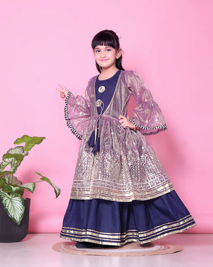 Baby Girls Lehenga Choli Ethnic Wear, Embellished Lehenga Choli