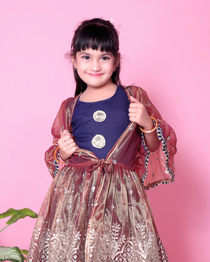 Baby Girls Lehenga Choli Ethnic Wear, Embellished Lehenga Choli