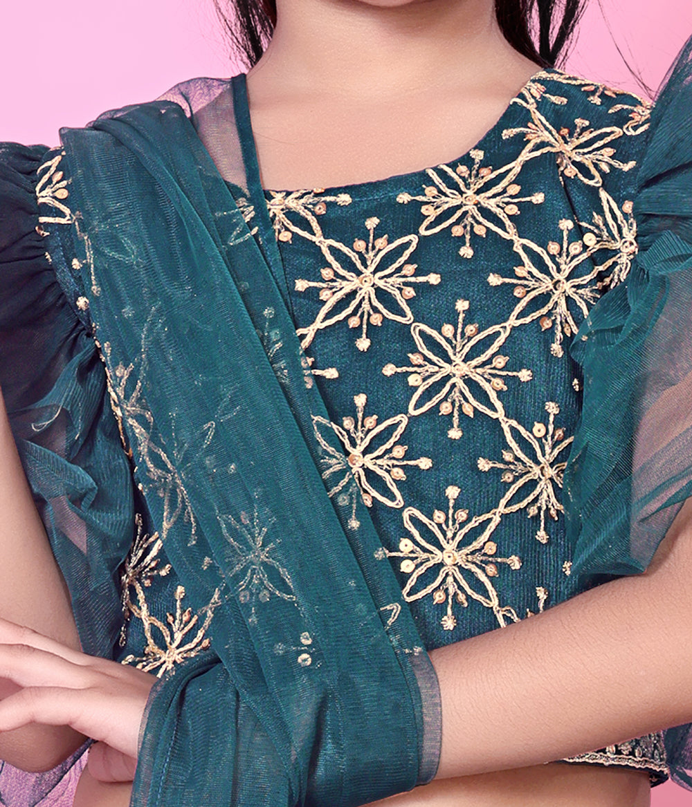 Girls Net Lehenga Choli Embroidered Party Wear Ethnic Dress Kids Wedding