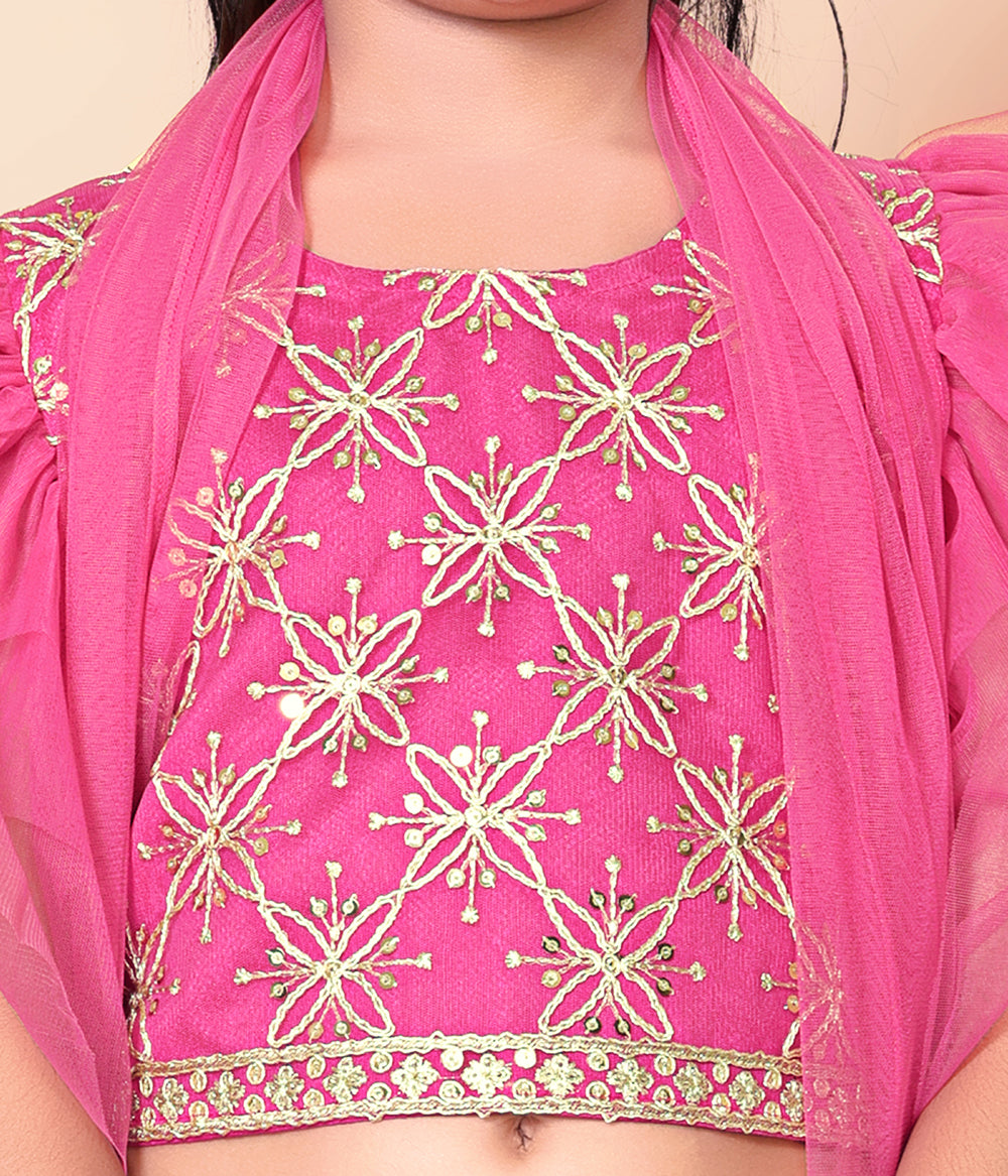 Girls Net Lehenga Choli Embroidered Party Wear Ethnic Dress Kids Wedding