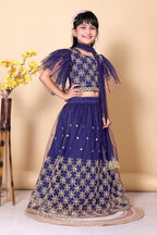 Girls Net Lehenga Choli Embroidered Party Wear Ethnic Dress Kids Wedding