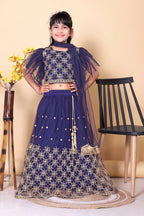 Girls Net Lehenga Choli Embroidered Party Wear Ethnic Dress Kids Wedding