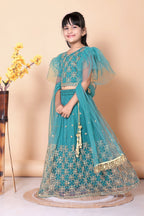 Girls Net Lehenga Choli Embroidered Party Wear Ethnic Dress Kids Wedding
