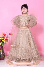 Girls Net Lehenga Choli Embroidered Party Wear Ethnic Dress Kids Wedding