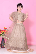 Girls Net Lehenga Choli Embroidered Party Wear Ethnic Dress Kids Wedding