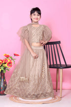 Girls Net Lehenga Choli Embroidered Party Wear Ethnic Dress Kids Wedding