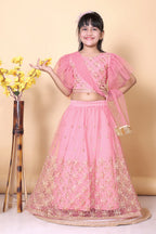 Girls Net Lehenga Choli Embroidered Party Wear Ethnic Dress Kids Wedding