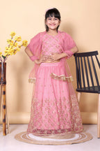 Girls Net Lehenga Choli Embroidered Party Wear Ethnic Dress Kids Wedding