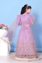 Girls Net Lehenga Choli Embroidered Party Wear Ethnic Dress Kids Wedding