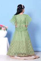 Girls Net Lehenga Choli Embroidered Party Wear Ethnic Dress Kids Wedding