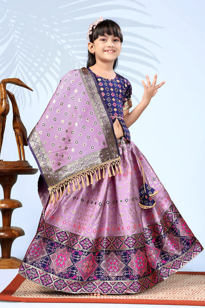 Baby Girls Lehenga Choli Ethnic Wear, Embellished Lehenga Choli