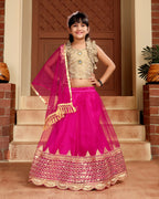 Baby Girls Lehenga Choli Ethnic Wear, Embellished Lehenga Choli