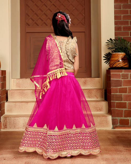 Baby Girls Lehenga Choli Ethnic Wear, Embellished Lehenga Choli